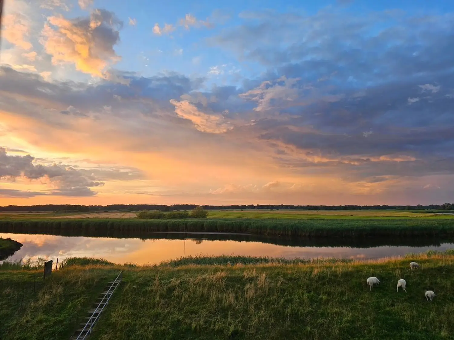 Referenzbild von Lebensheldenk